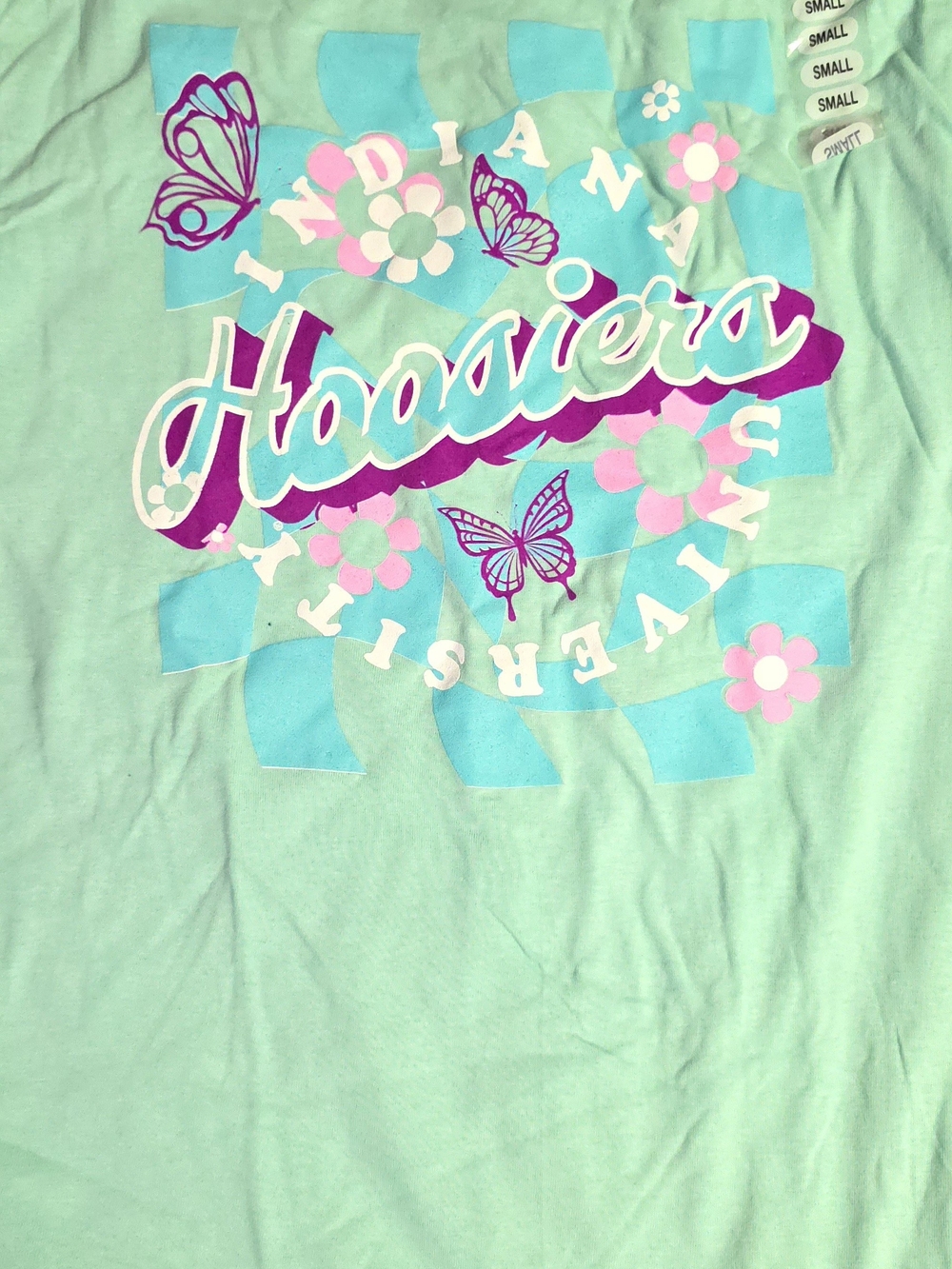 Hanes Mint Green Hoosiers Long Sleeve Tee with Pink & Purple Butterfly Graphic - Picture 2 of 6